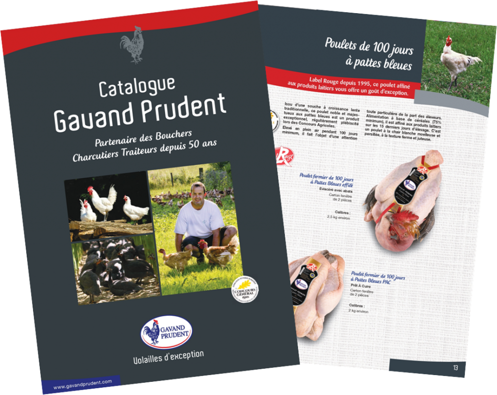 Catalogue GP