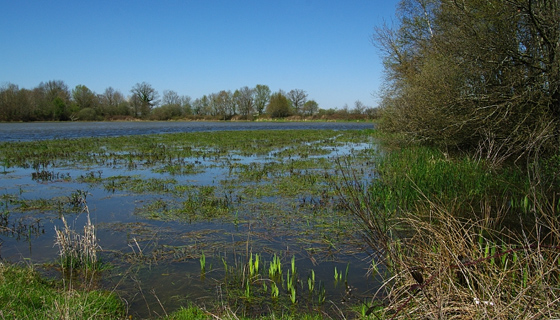 dombes2-visuels-560x320